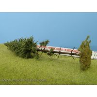 MSC SK203 - Smrek vyvrátený na kmeni, 180-220 mm - dopredaj