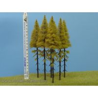 MSC MK204 - Smrekovec opadavý na kmeni, jeseň, 180-220 mm - dopredaj